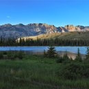 옐로우 스케일 이미지