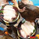 영어조합법인 일출봉 이미지