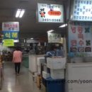 국시리아