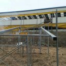 어미들 농장 이미지