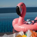 써니라이프 이미지