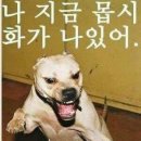 참 이미지