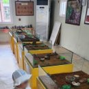 원주곤충마을박물관 이미지