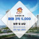 장미공인중개사사무소 이미지