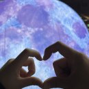 가오복싱클럽 이미지