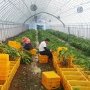 서산시농업기술센터 이미지