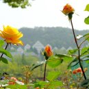 호기심 팡팡 과학교실 이미지