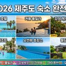 헬로월드게스트하우스 | 🏝️ 2026 제주도 숙소 완전 정복 | 럭셔리 호텔부터 가성비 펜션까지 [더빌림]
