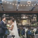 더그레이스켈리강남