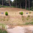 금량농장 이미지