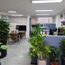 송천공인중개사사무소 이미지