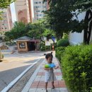 하남시세미도서관 | 하남시 도서관 세미도서관 &amp; 덕풍도서관