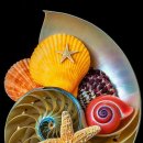 킹스타당구장 이미지