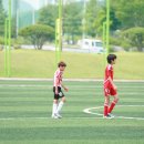 충주중앙초 Daum카페