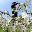 정우성농장 이미지