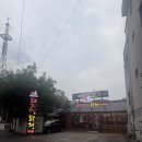 전주 호성동 고기집 추천, 삼겹살부터 닭구이까지 맛있는 [돼지야닭처] 외식 후기