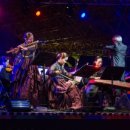 감자콘서트 이미지