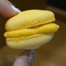 봄가을마카롱 네이버블로그