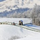 미주목장 이미지