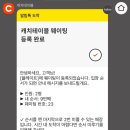 8 | 대전 여행 맛집 4곳 추천 🍽️ 플레이트 라자냐·모도시 케이크·교반 육회비빔밥·성심당 DCC 웨이팅 후기