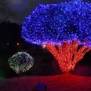 백악관모텔 이미지