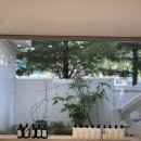 논픽션성수 | 논픽션 성수 여름에 어울리는 바디워시 구매후기