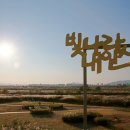 영산강서창들녘억새길 이미지