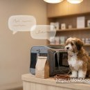 I-pet 동물병원 이미지