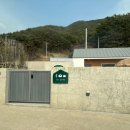 멍온스테이 이미지