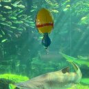 키즈노트 | 아쿠아플라넷 일산 할인 꿀팁 | 키즈노트 최저가 &amp; 관람동선 후기