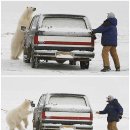 나잡아바라 이미지