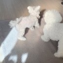 로하스일산병원 이미지