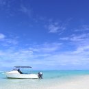 아일랜드 이미지