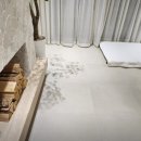 스테이 하냥 이미지