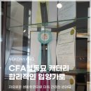 주식회사 대구고양이분양 네코냥 | 수성구고양이분양 따뜻했던 네코냥 상담 후기