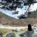 밀림식당 이미지