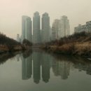 당뇨신문 이미지