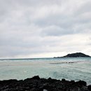 스카이워터쇼 | 제주 스카이워터쇼 기본정보 + 다이나믹 공연 후기