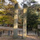 대성지성문선왕전좌도 이미지