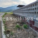 4242민박 네이버블로그