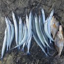 덕원물양장 이미지