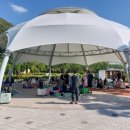 감문국이야기 이미지