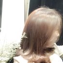 델라스텔라