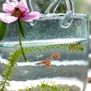 유리가방