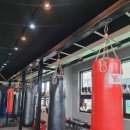 홍성Y복싱클럽 이미지