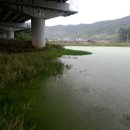 고지소류지 이미지