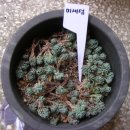 별솔농장 이미지