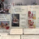 피올라플라워카페 이미지
