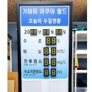 아쿠아월드 이미지