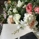 엘비멀티샵 이미지